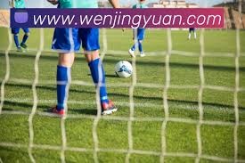 世界杯外援大缩水 中超现役外援数量从9降至1